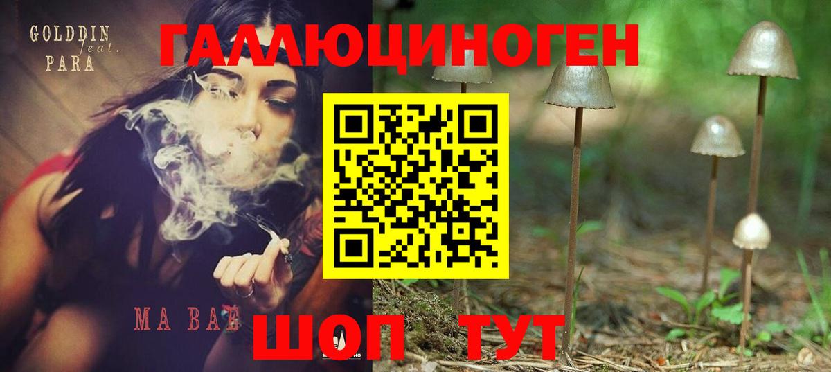 Галлюциногенные грибы Cubensis  Вход с VPN  Королёв  Галлюциногенные грибы Magic Shrooms 